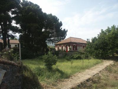 B&B Sotto I Pini Zafferana Etnea Exterior photo