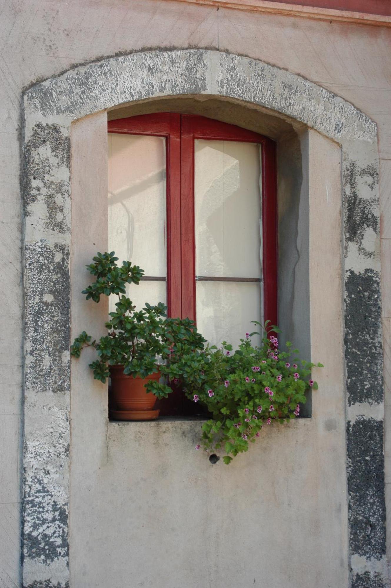 B&B Sotto I Pini Zafferana Etnea Exterior photo